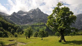 Eines der „Markenzeichen“ des Naturparks: Der Große Ahornboden in der Eng. | © Naturpark Karwendel / Petra Steinmüller
