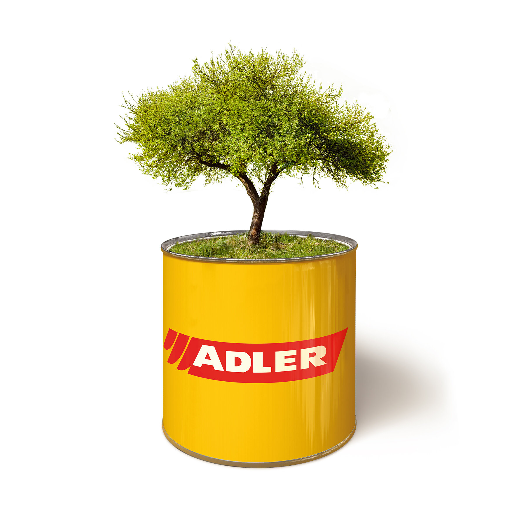 ADLER Baum