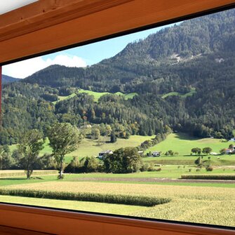 Matt ist das neue glänzend: Auch Fenster präsentieren sich dank ADLER Aquawood Ligno+ Top M im eleganten Understatement-Look.